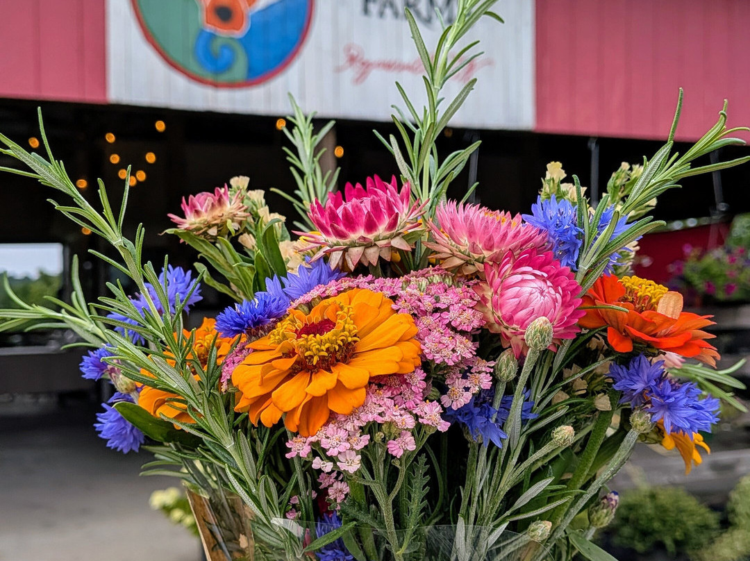 Red Dog Ridge Farms-Rogersville必去景点