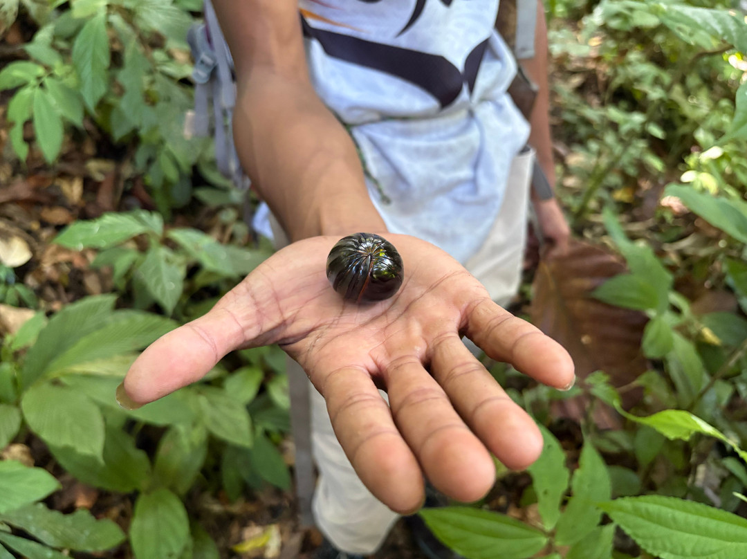 Friendship Guesthouse & Restaurant主图