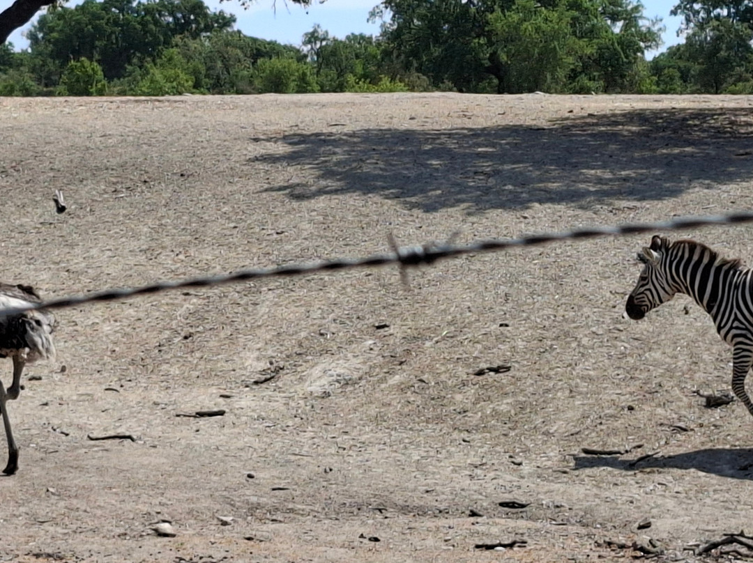 Monte Selvagem-Lavre必去景点
