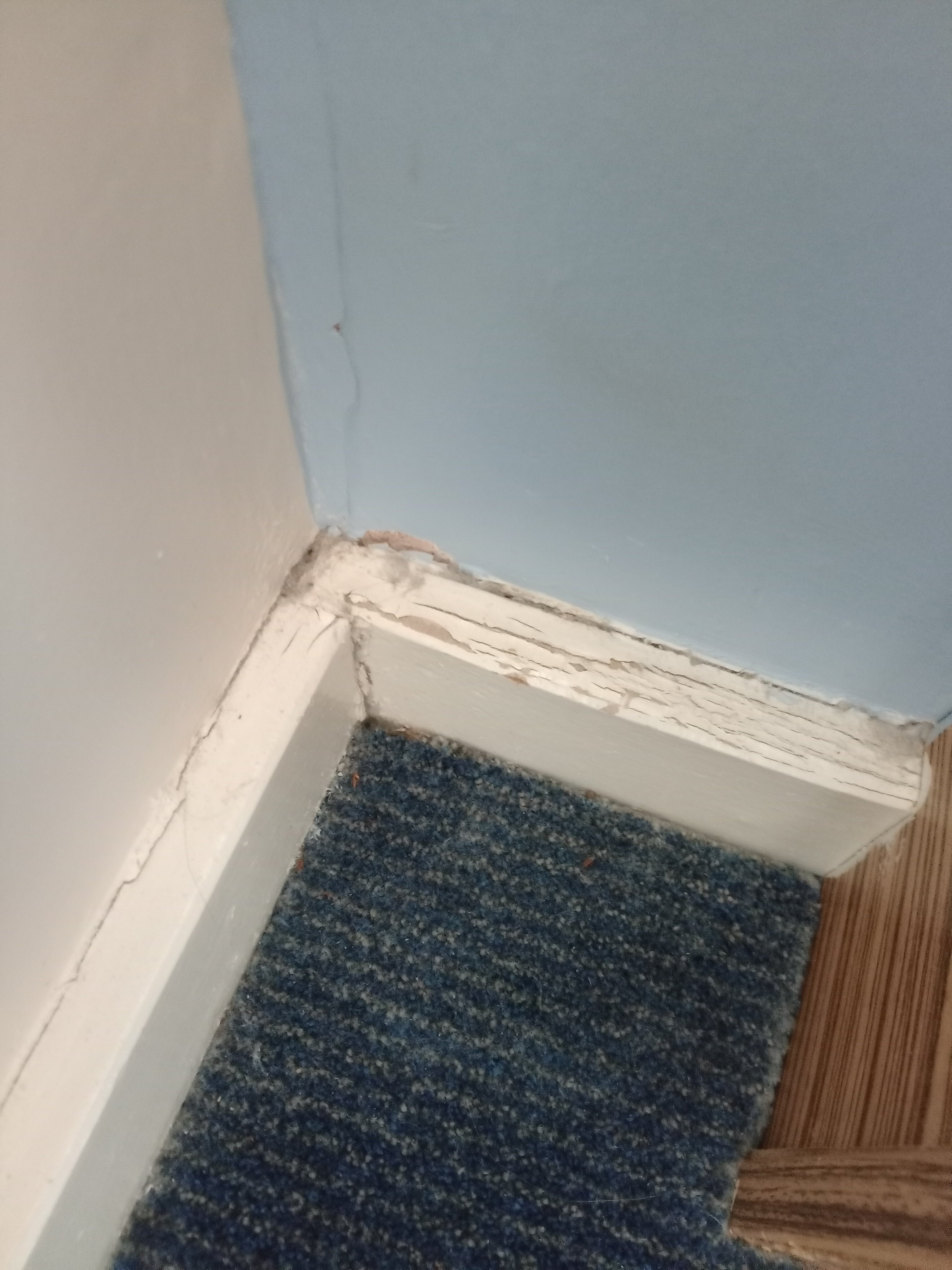 Travelodge Clacton-on-Sea Central-官方