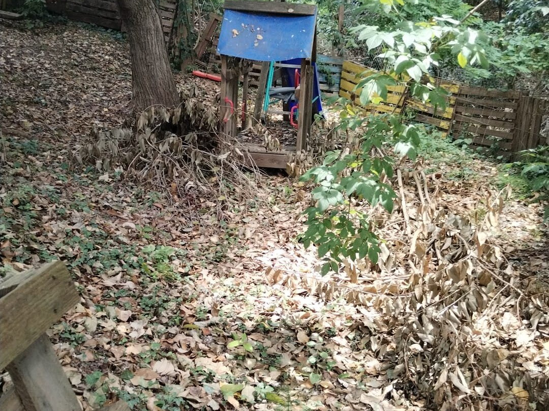 Hotel Boutique Torre Barcelona主图