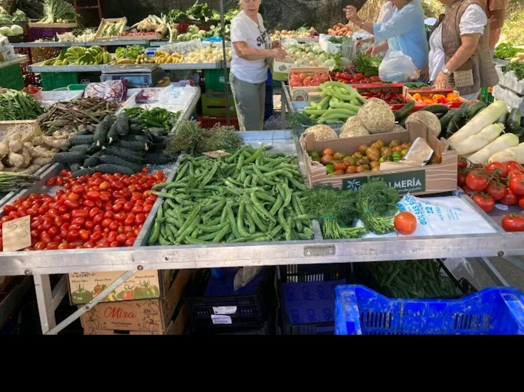 Friday Market-莫拉伊利亚必去景点