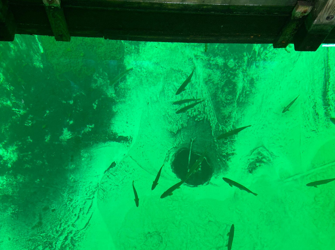 Kitch-Iti-Kipi-Manistique必去景点