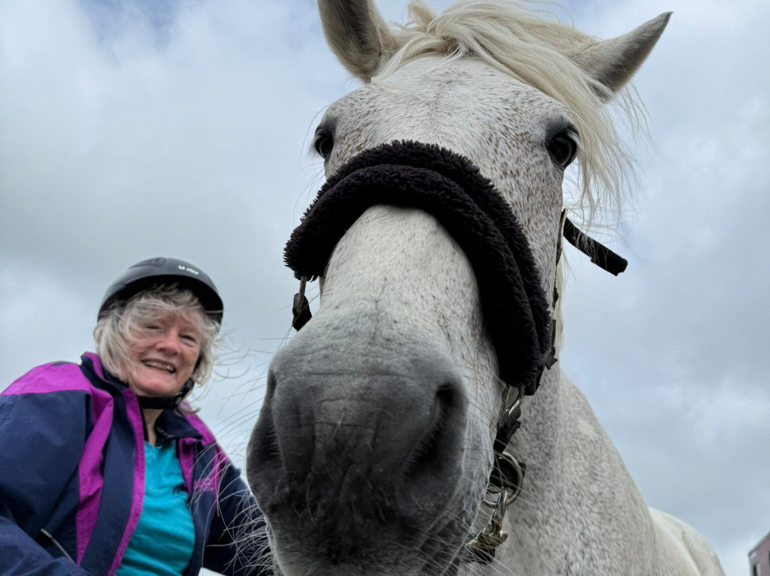 Connemara Equestrian Escapes-Moycullen必去景点