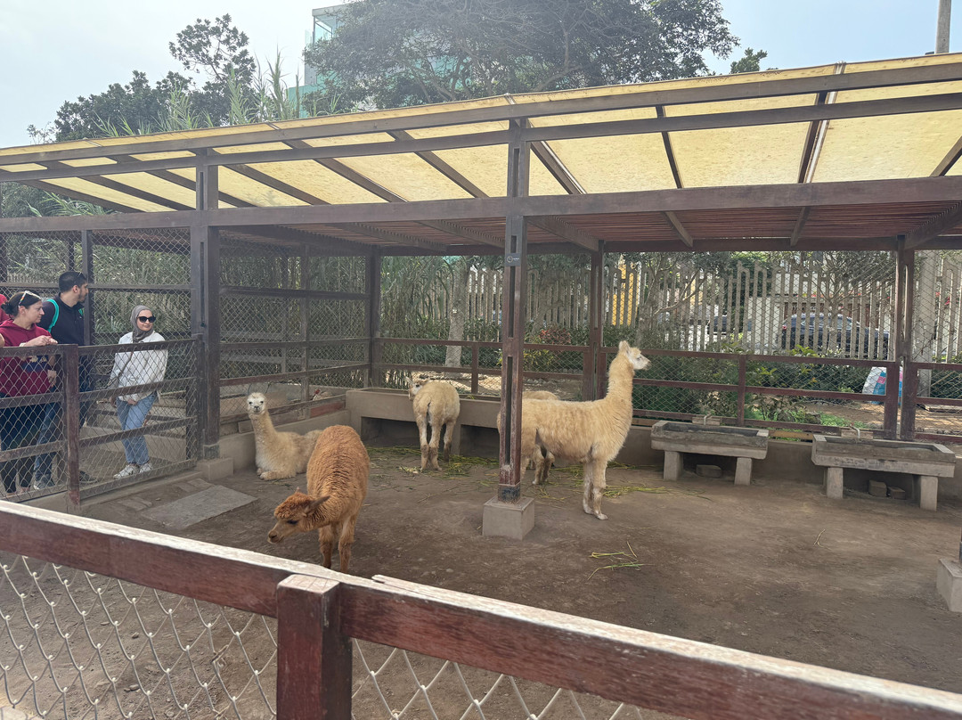 Auri Peru Travel-库斯科必去景点