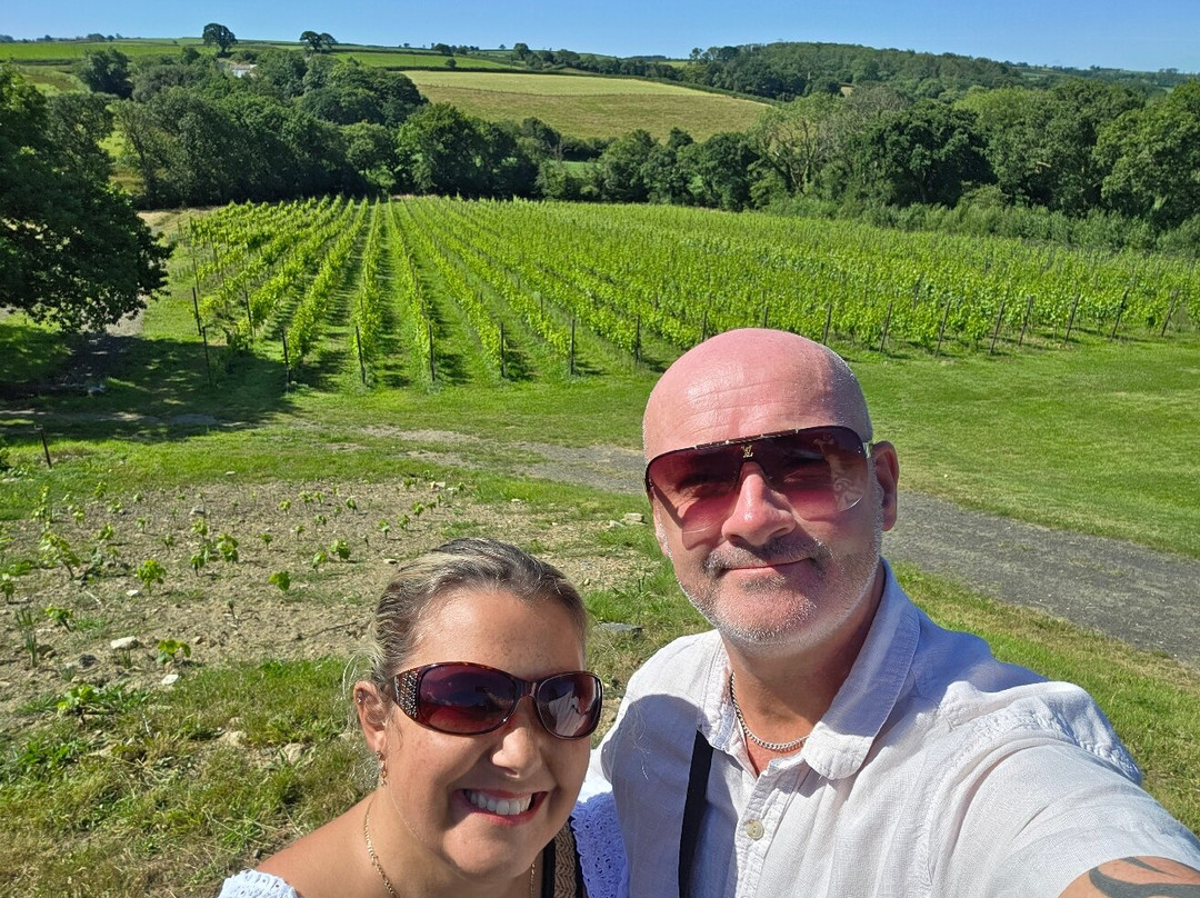Velfrey Vineyard-Lampeter Velfrey必去景点