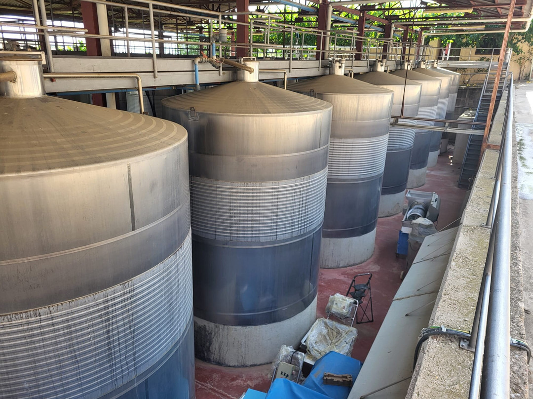 Vinicola del Priorat-Gratallops必去景点