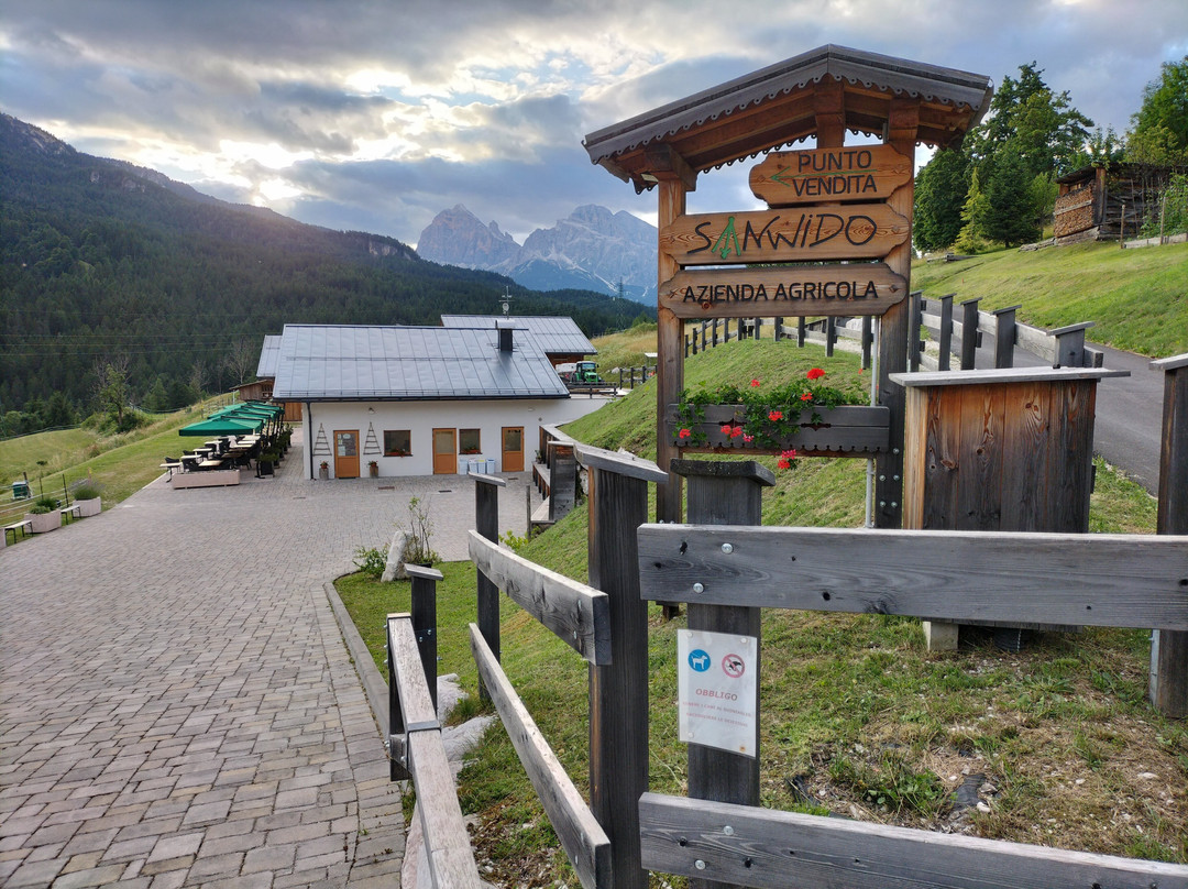 SANWIDO Azienda Agricola