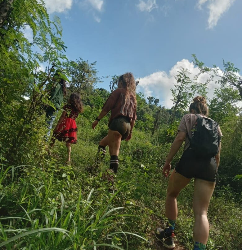 Monkey Cave Lombok-Pujut必去景点