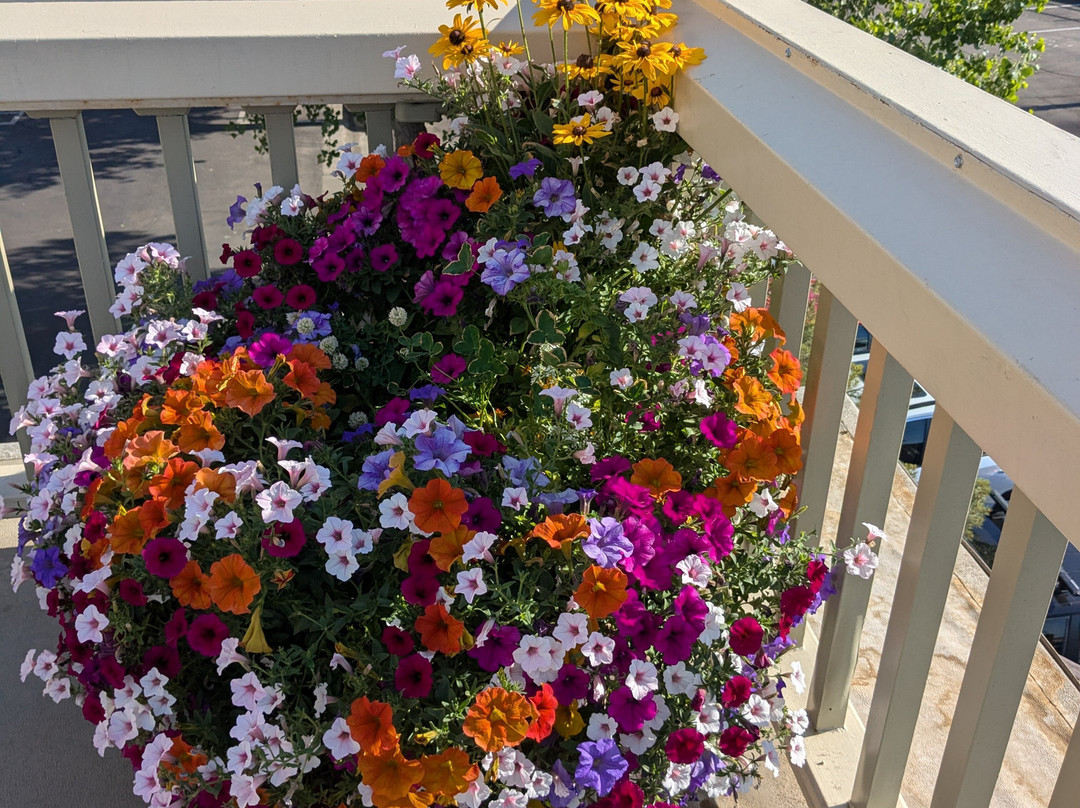 General Palmer Hotel主图