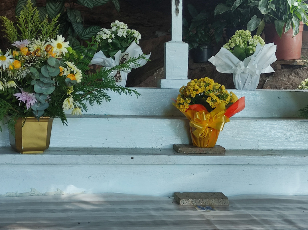 Gruta Natural-Antônio Prado必去景点