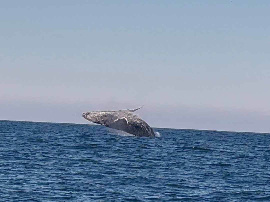 Maremar Turismo-伊利亚贝拉必去景点