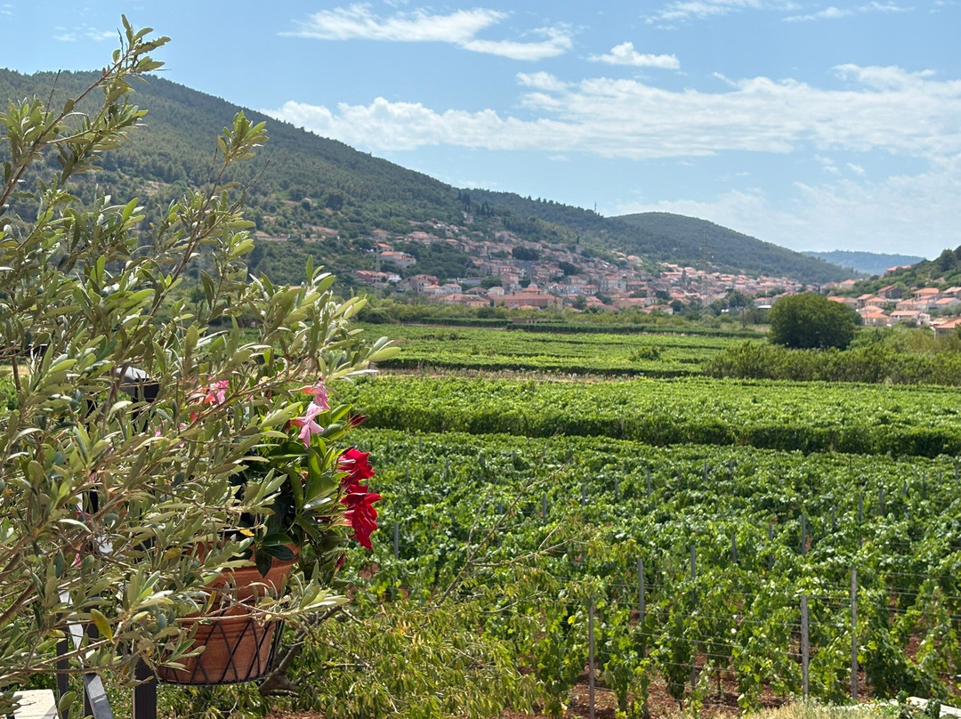 Jovanov Winery