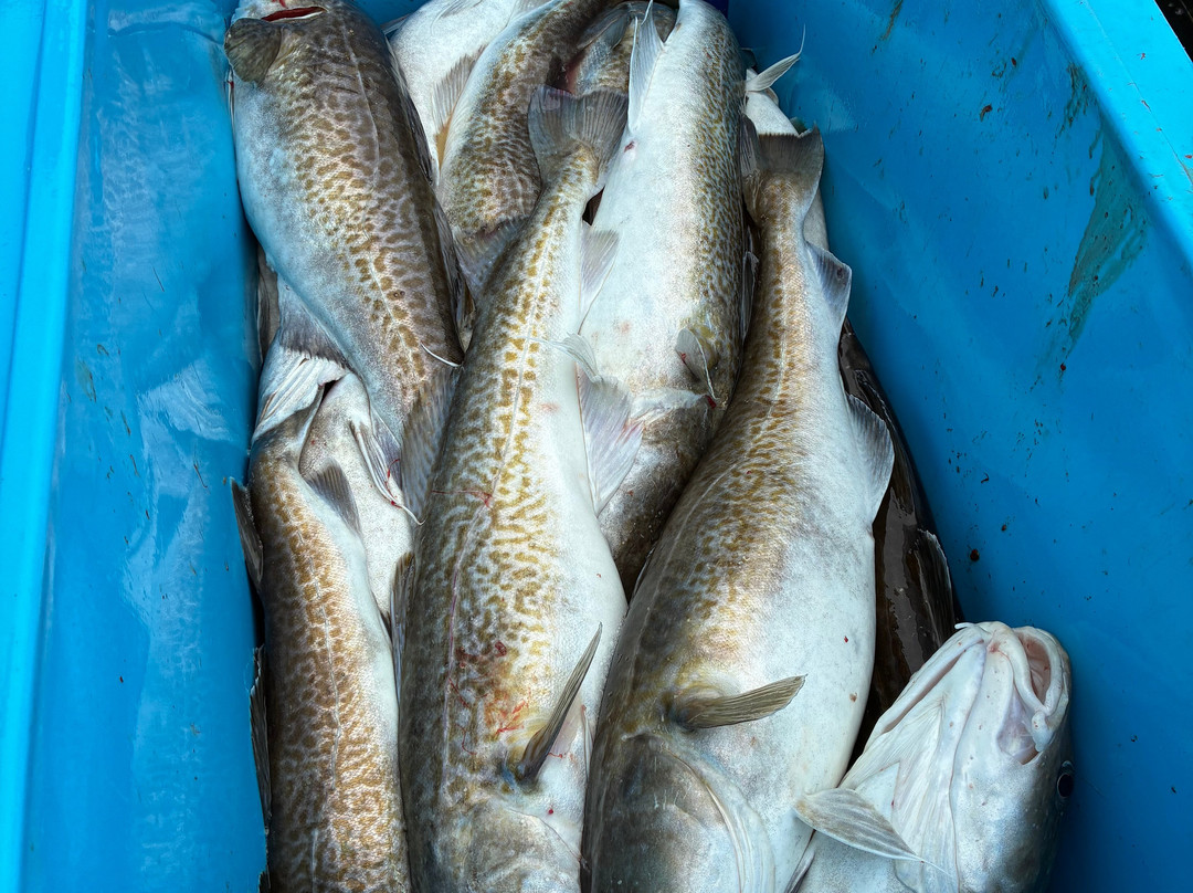 North Country Charters-荷马必去景点