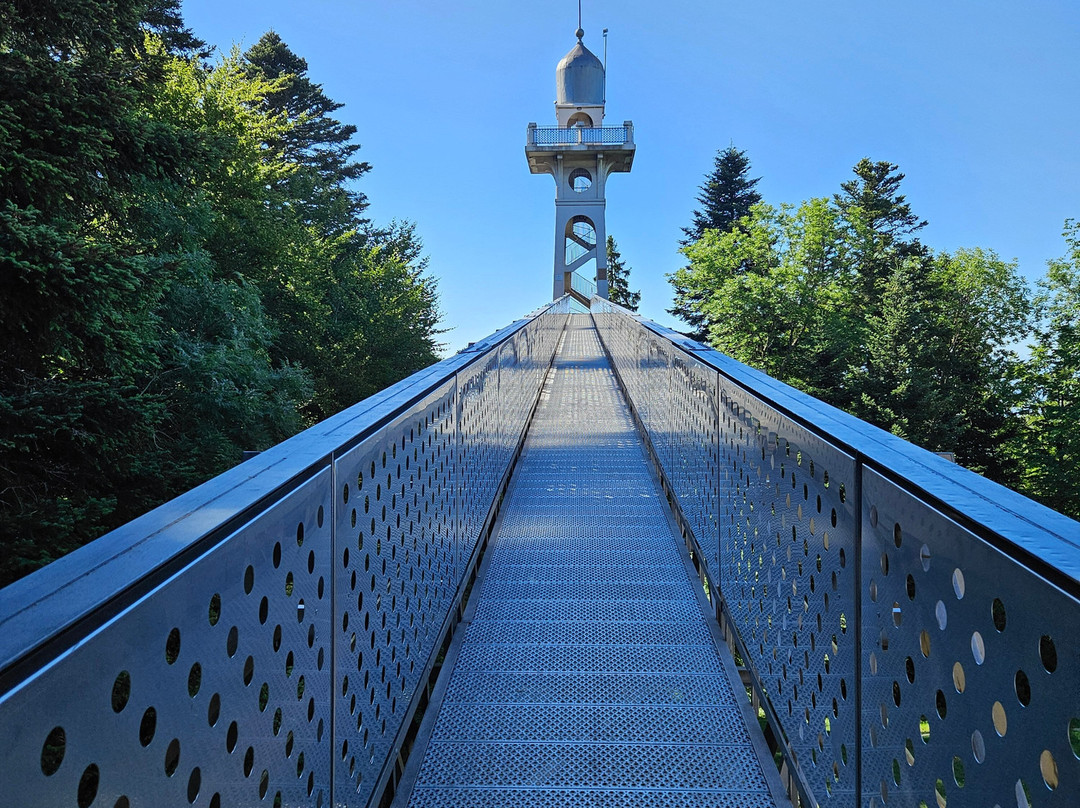 Tour Panoramique De Chaumont-Chaumont-de-Pury必去景点