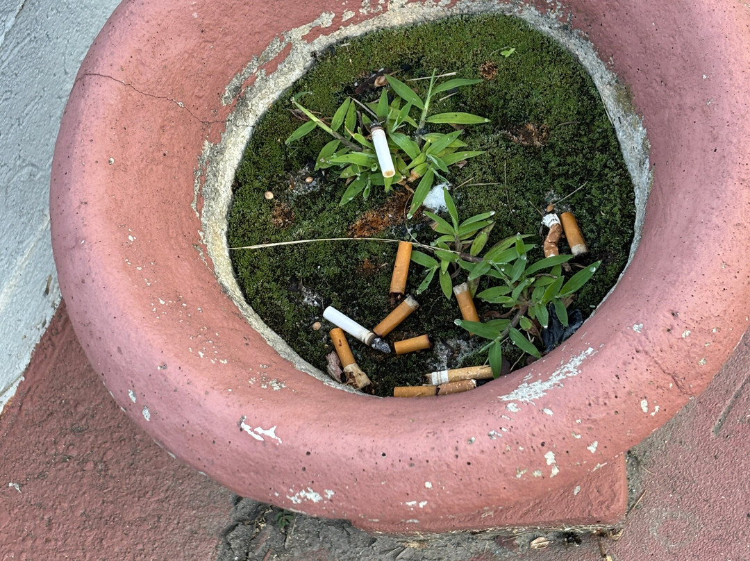 Quality Inn Black Mountain-asheville East主图