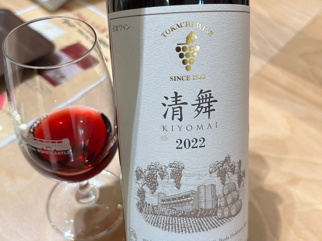 Ikeda Wine Castle-池田町必去景点