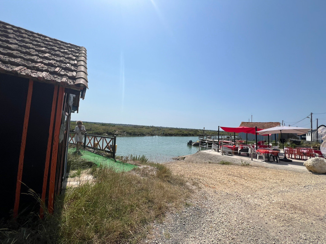 La Cabane Du Sud-ouest