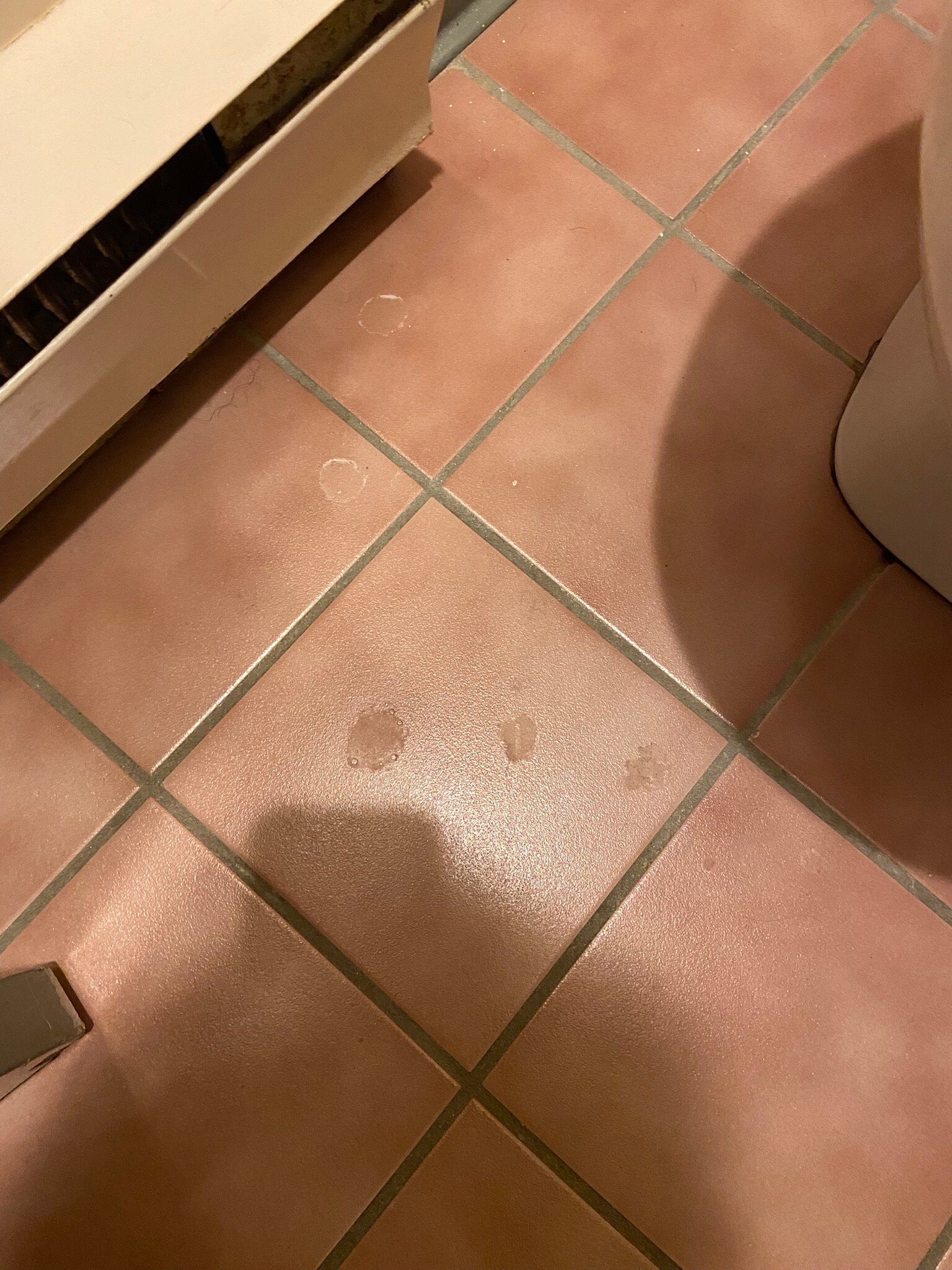 Leisure Inn Hotel-官方