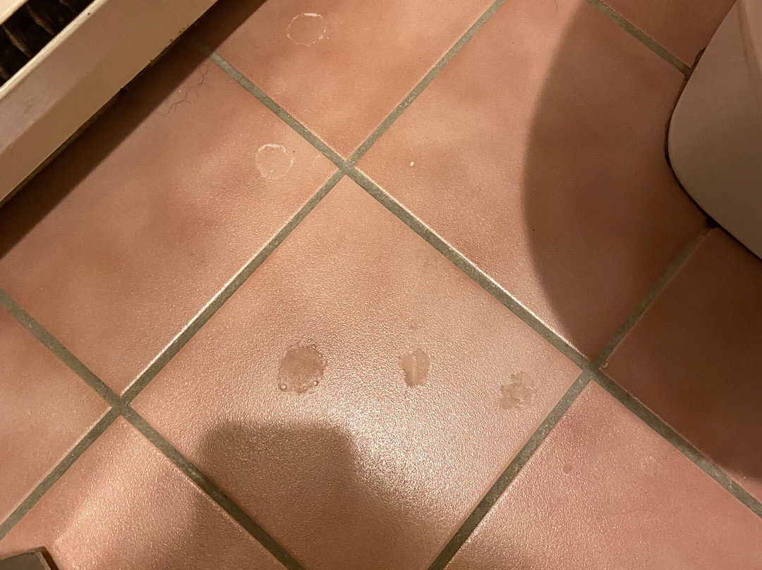 Leisure Inn Hotel主图