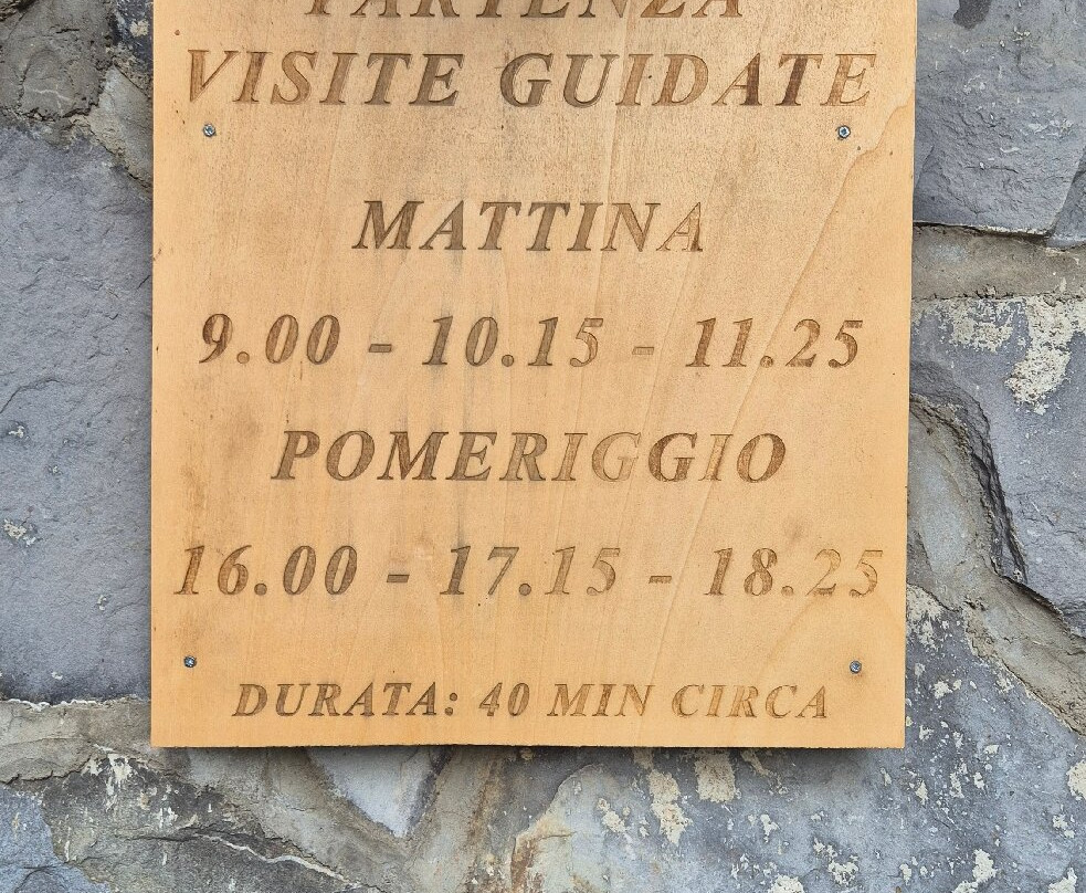 Parco Della Lavanda-Campotenese必去景点