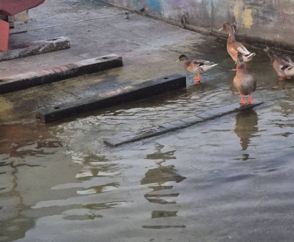 Fisherman's Cove Guesthouse主图