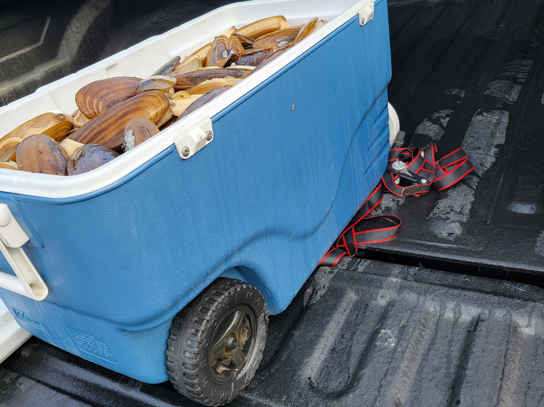 Bottom Line Charters-尼尔奇克必去景点