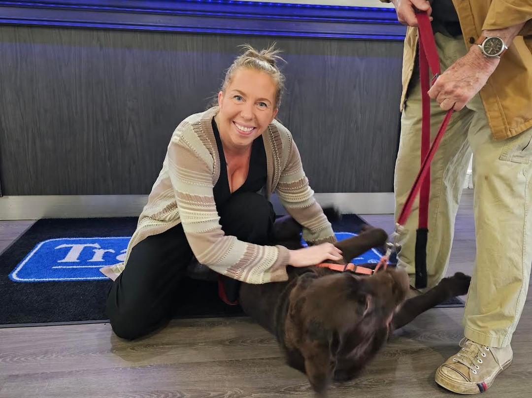 Travelodge Suites Saint John主图