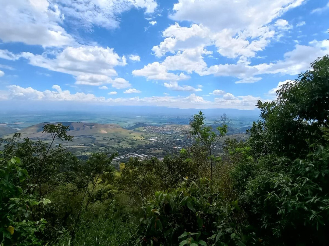 Reserva Natural Nirvana-Palmira必去景点