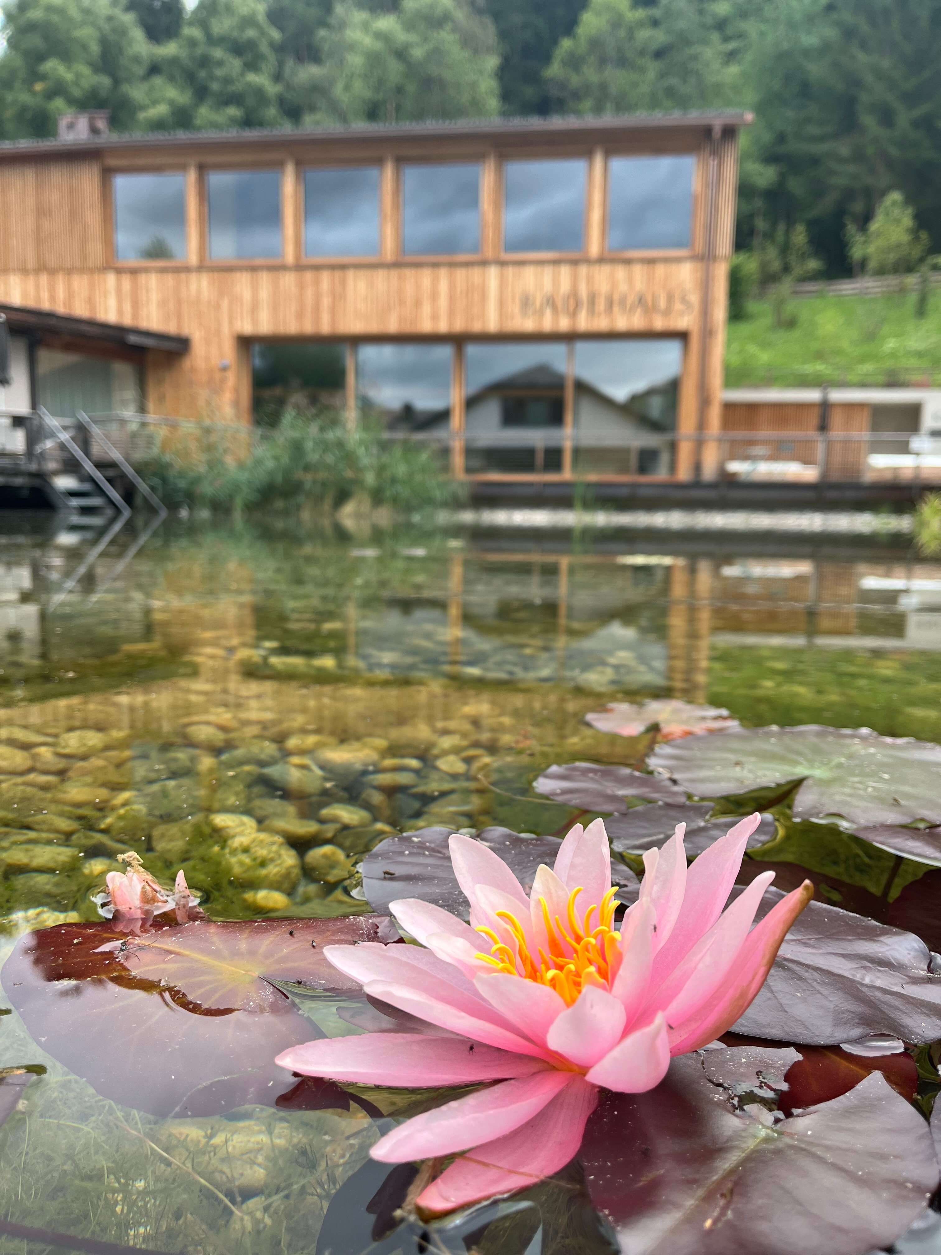 Naturhotel Saalerwirt-泳池