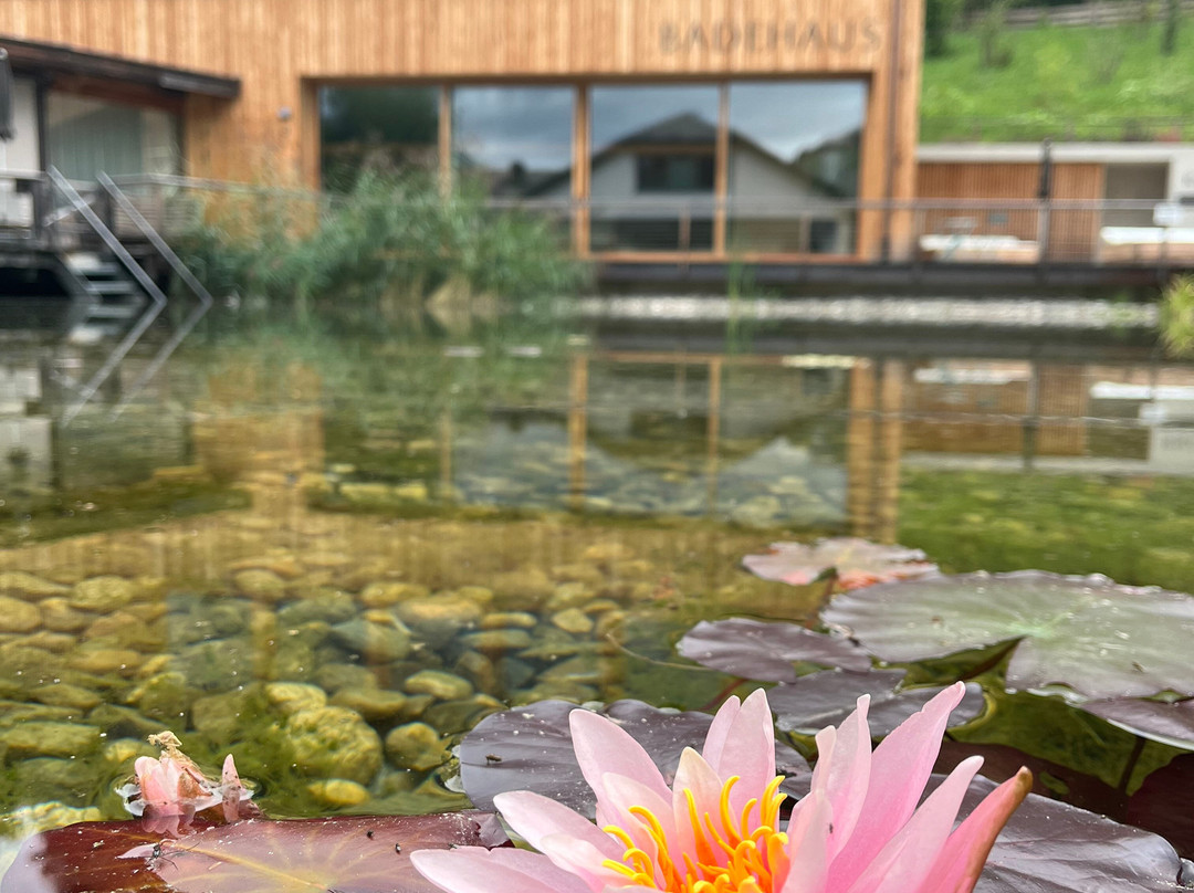 Naturhotel Saalerwirt主图