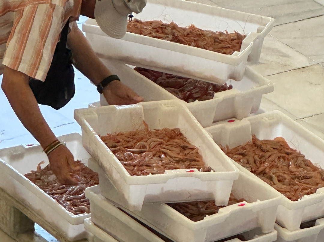 Lonja de Garrucha-Garrucha必去景点