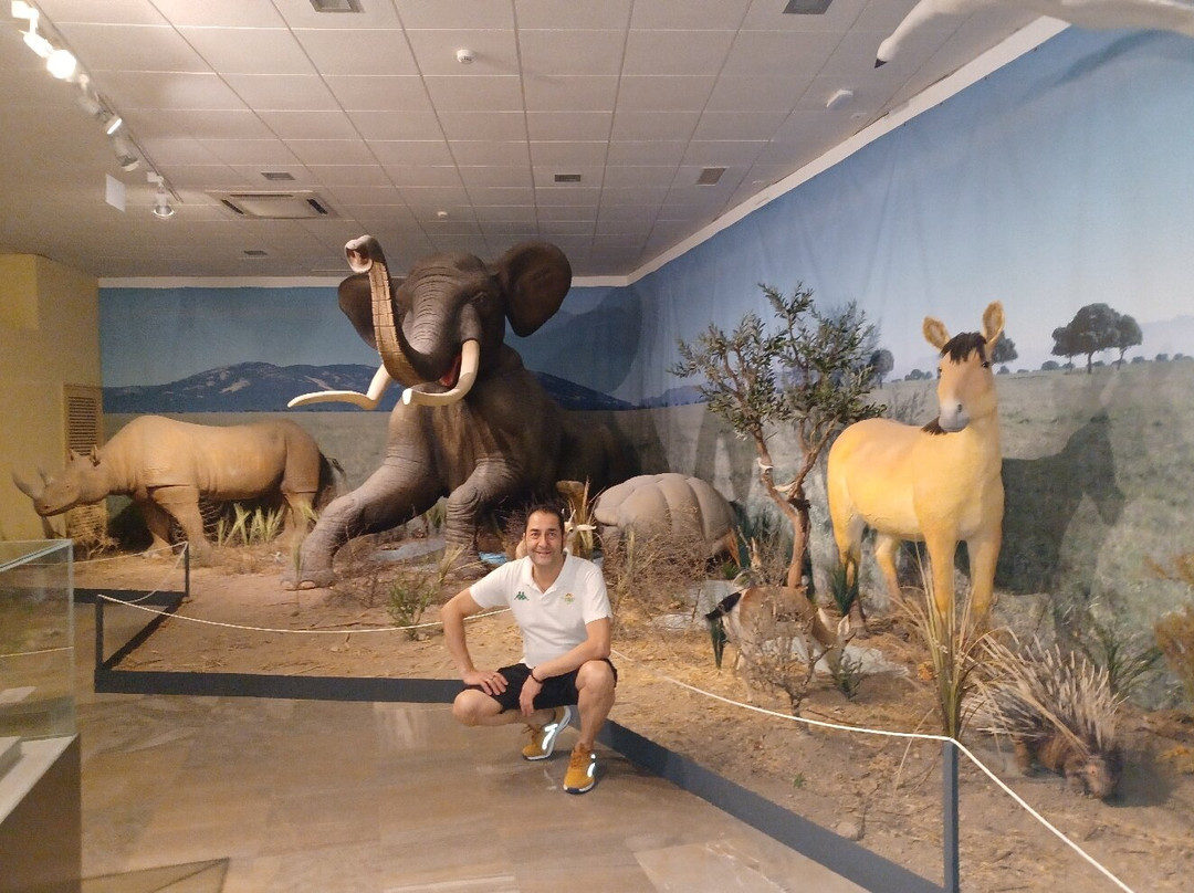 Museo Provincial-雷阿尔城必去景点