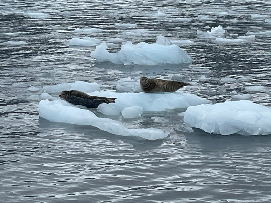 Sound Water Tours-苏厄德必去景点