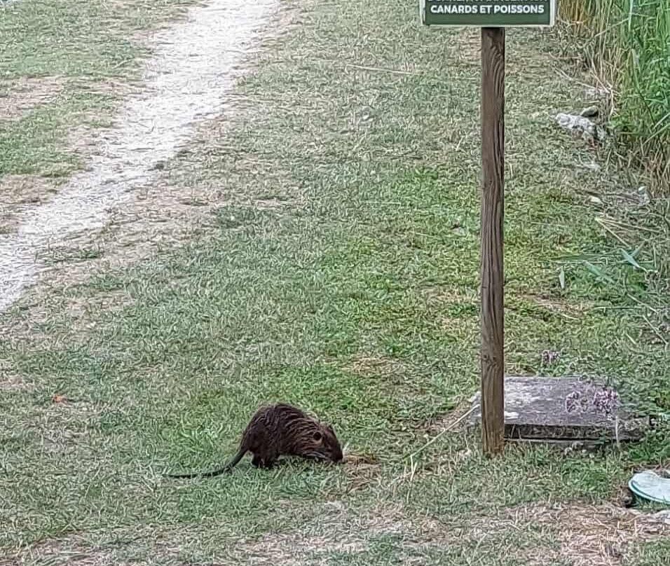 Chaîne Thermale du Soleil-Jonzac必去景点