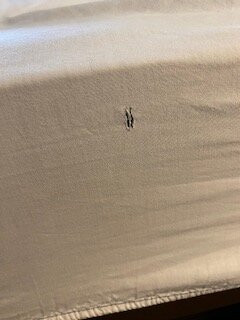 Travelodge Trenton主图