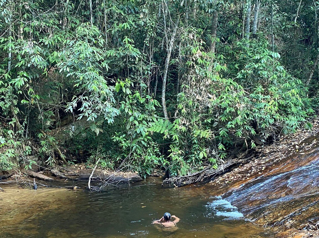 Floresta Nacional dos Carajas-Parauapebas必去景点