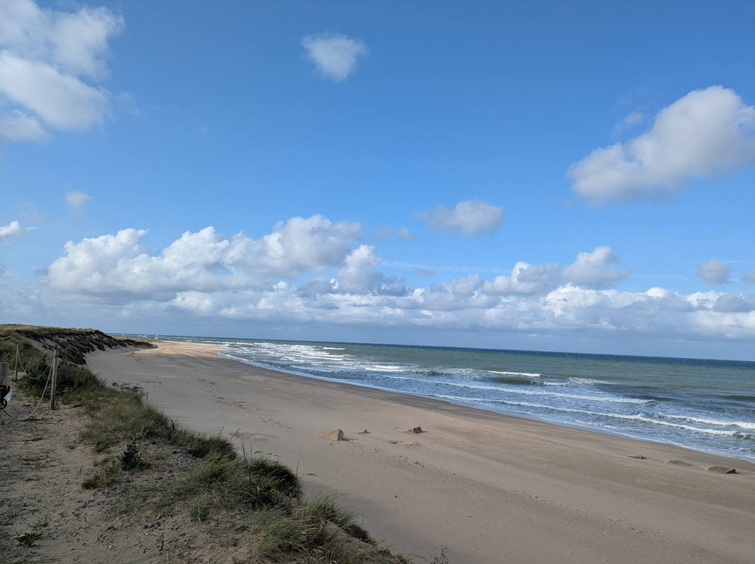 Winterton Hound Ground-Winterton-on-Sea必去景点
