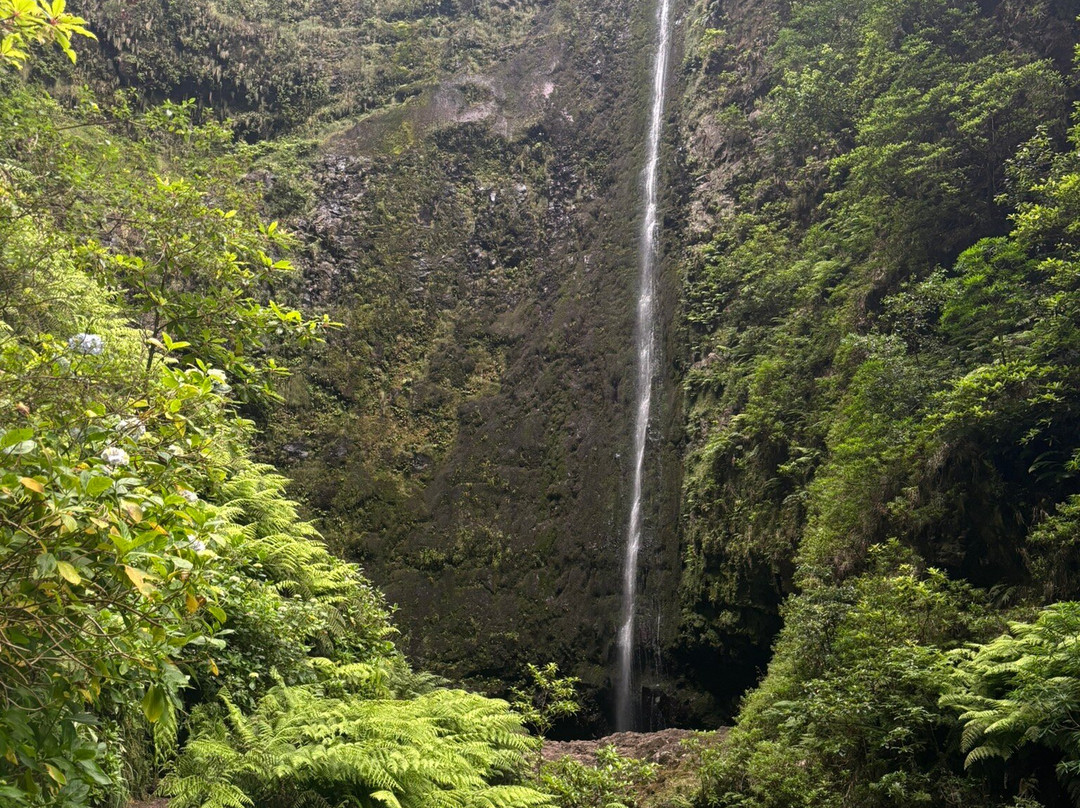 Levada Do Caldeirao Verde-Santana必去景点