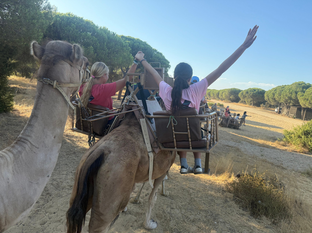 Aires Africanos-Matalascanas必去景点