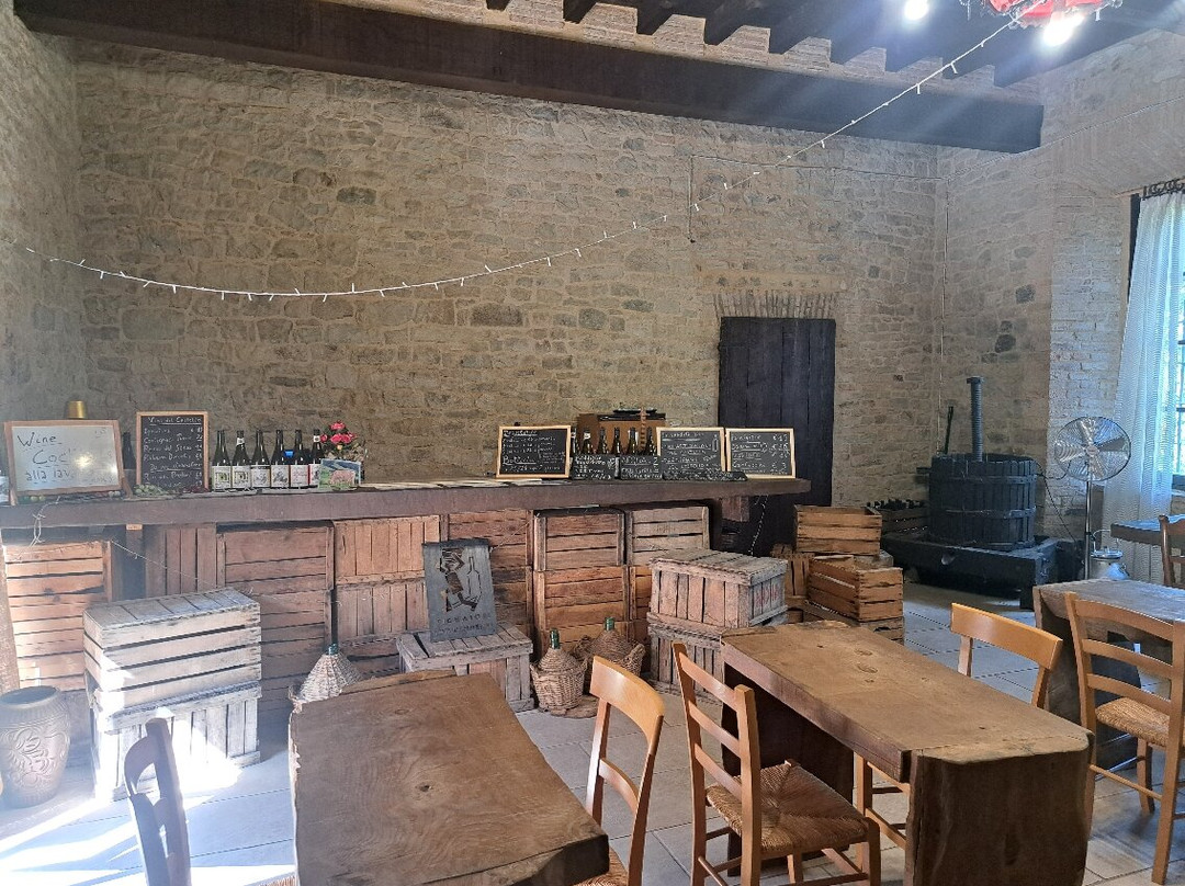 Contignaco Castle-萨尔索马焦雷泰尔梅必去景点