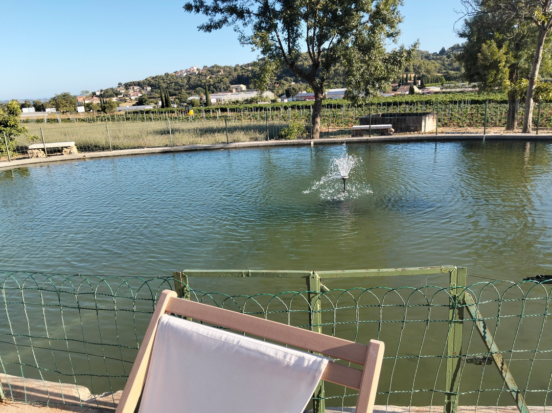 Soirée Jazz & Vignes-Carqueiranne必去景点