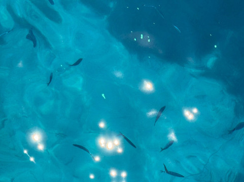 Rent A Roberts-苏佩塔尔必去景点