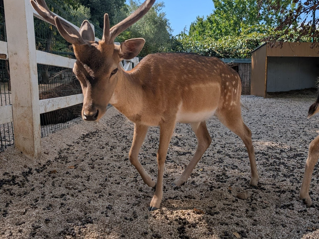 Ranch Aryen-Sutorina必去景点