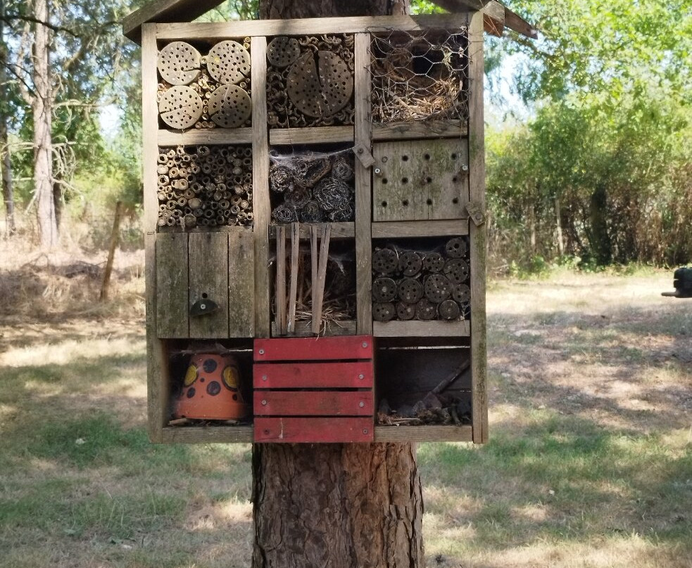Body Nature-Nueil-les-Aubiers必去景点