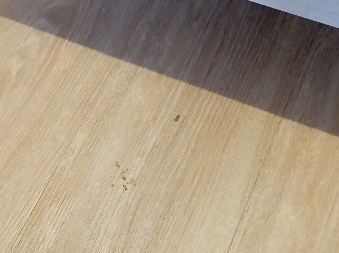 赫斯珀里亚马略卡海滩酒店主图