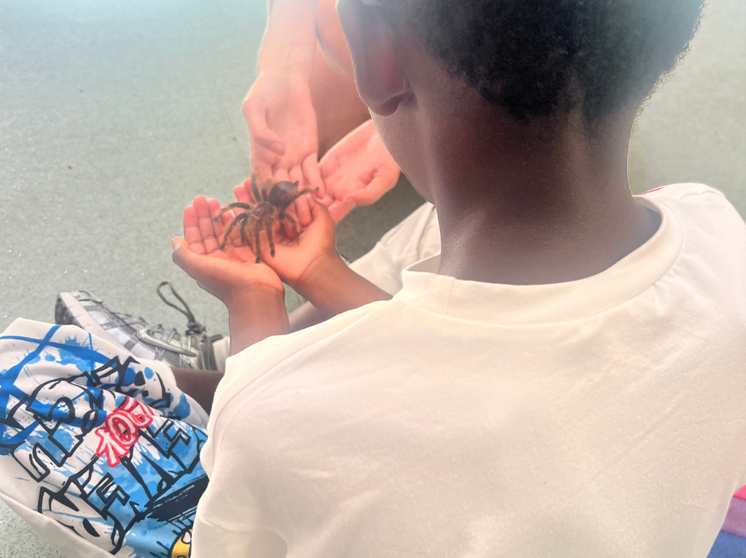 Bromley Parks Environmental Education-奥尔平顿必去景点