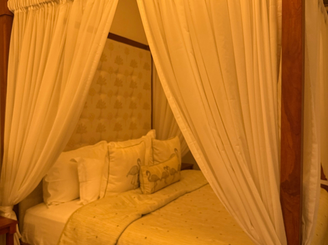 Chunda Shikar Oudi主图