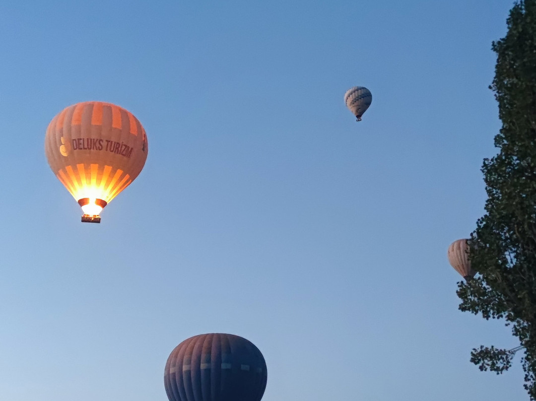 Paradise Travel-格雷梅必去景点