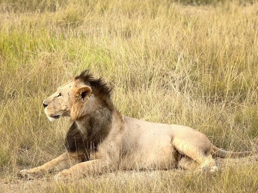 Truentum Tours & Safaris-查佛必去景点